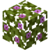 BloomingAzaleaLeaves.png
