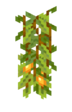SporePlant2.png