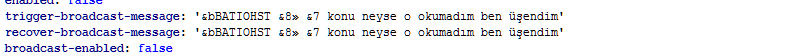 yaptık.PNG
