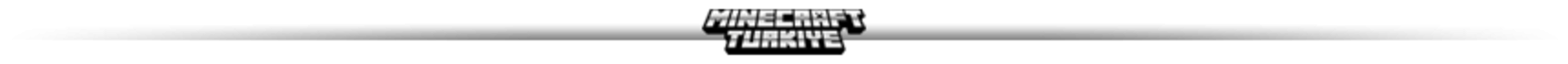 ayrac.png