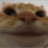Hukadra
