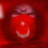 zaimtoprak3435