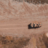 Hamsi_TV