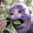 samettastekin