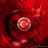 cagan123