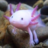 Axolotl
