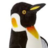 BruhGuin