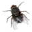 buraklavesy
