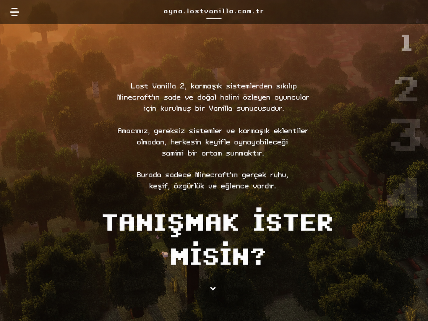 bmsnzr7.png