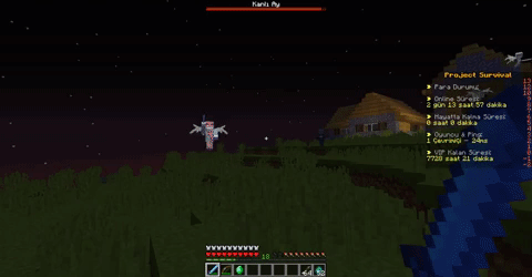 KirkeFight.gif