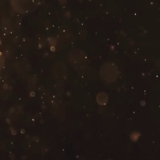 XPTwUqY.gif