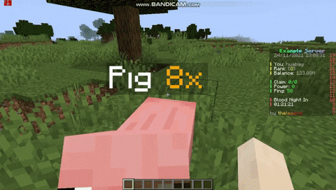 giphy.gif